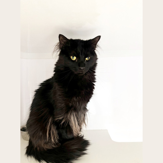 Photo of Jack Sua014813 Gus Sua014812