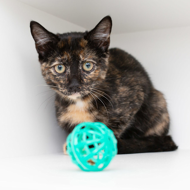 Photo of Viveca