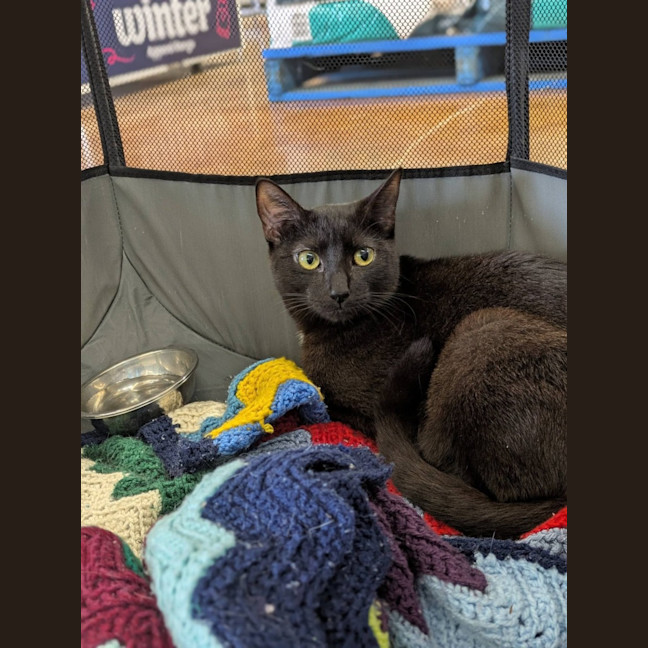 Photo of Vera