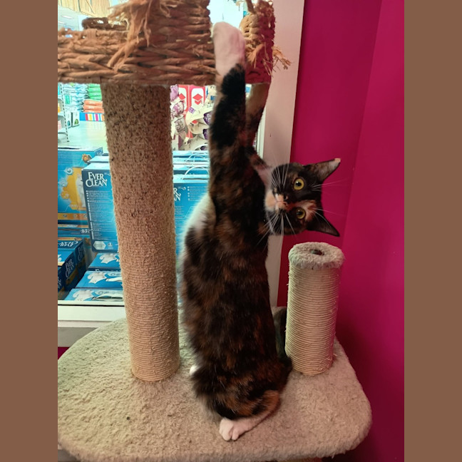 Photo of Mumma Patti 