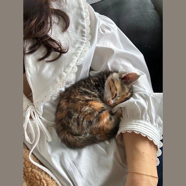 Photo of Cheri & Juni