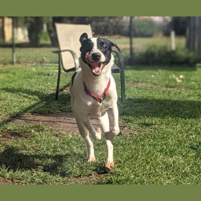 Photo of Aston Martin