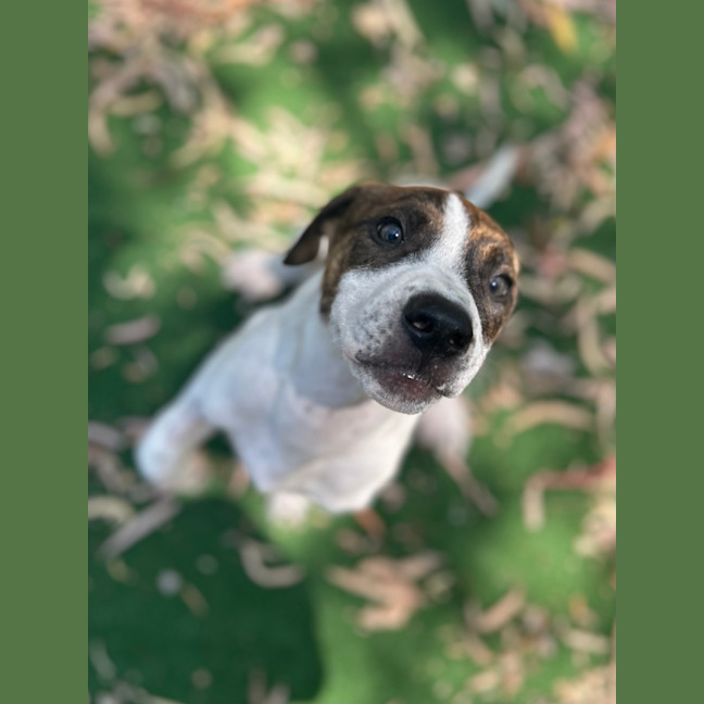 Photo of Benny