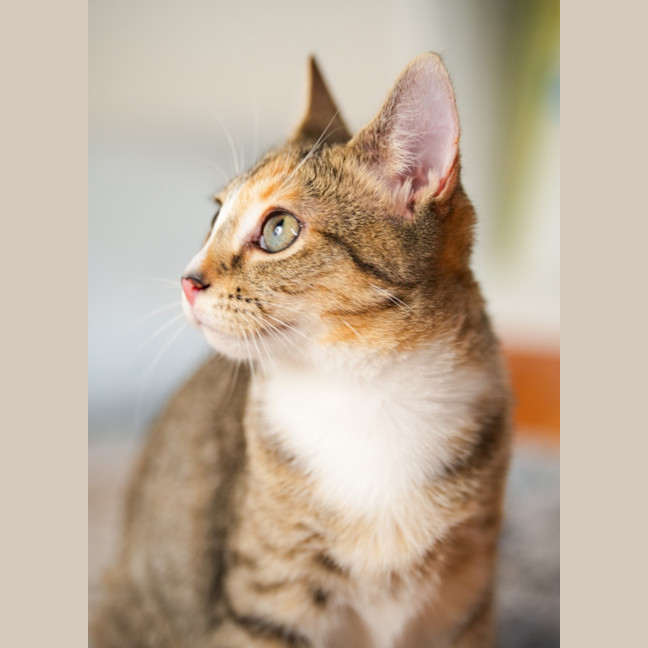 Photo of Elsie