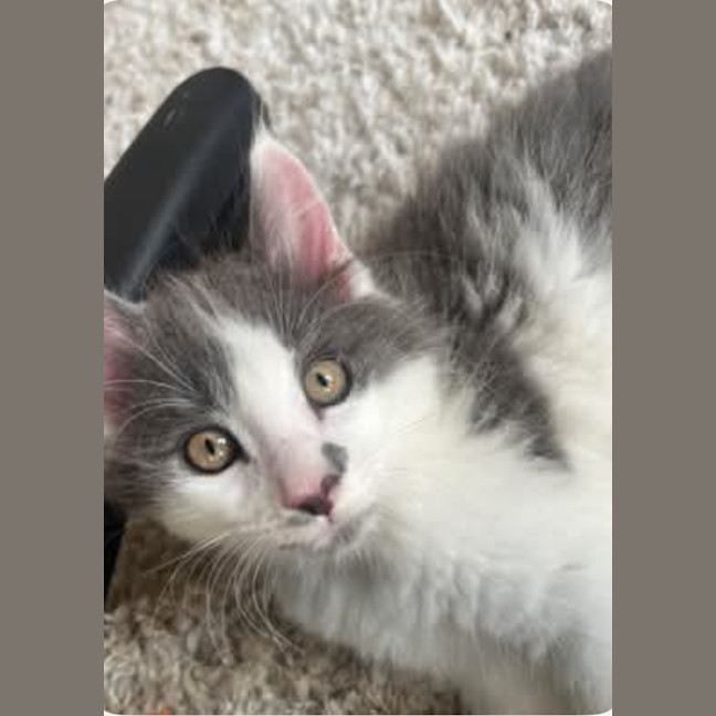 Photo of Mindy And Mork