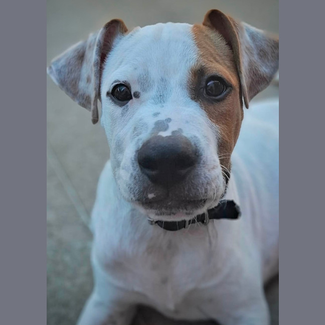 Photo of Cash