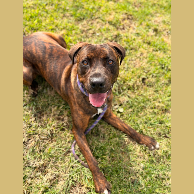 Photo of Taco
