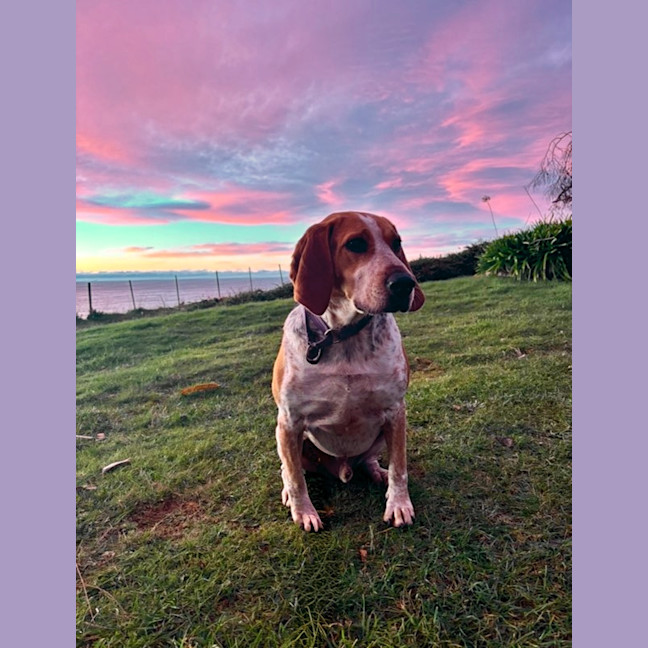 Photo of Larry