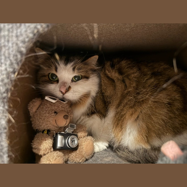 Photo of Daisy 