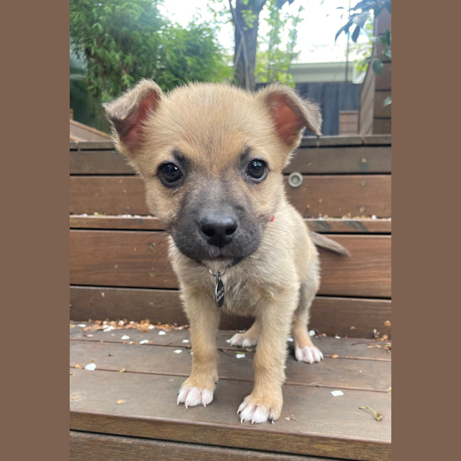 Photo of Freya