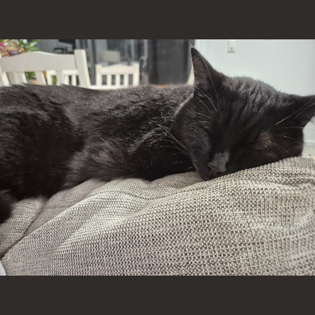 Photo of Honey