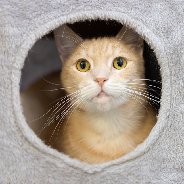 Photo of Tiggah