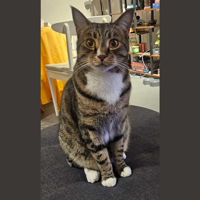 Photo of Leo