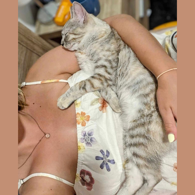 Photo of Willow & Dream 