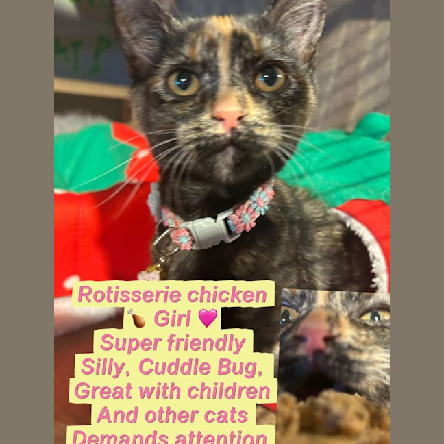 Photo of Rotisserie Chicken