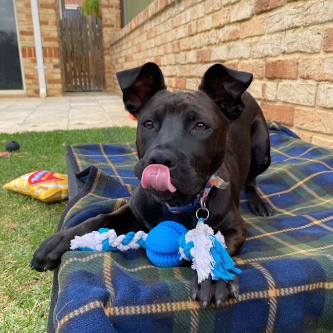 Photo of Cinders