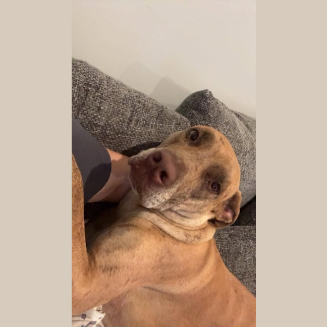 Photo of Duke