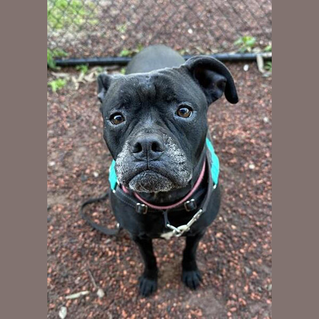 Photo of Xena