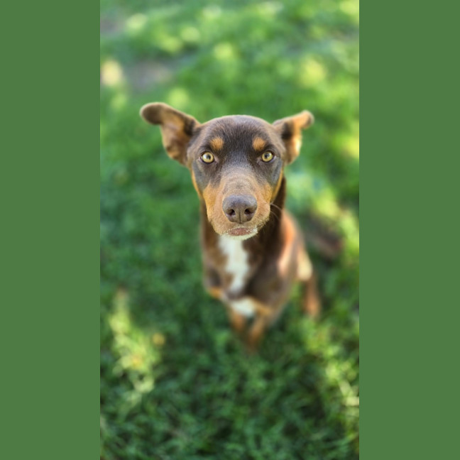 Photo of Max