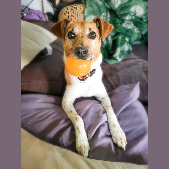 Photo of Sunny 