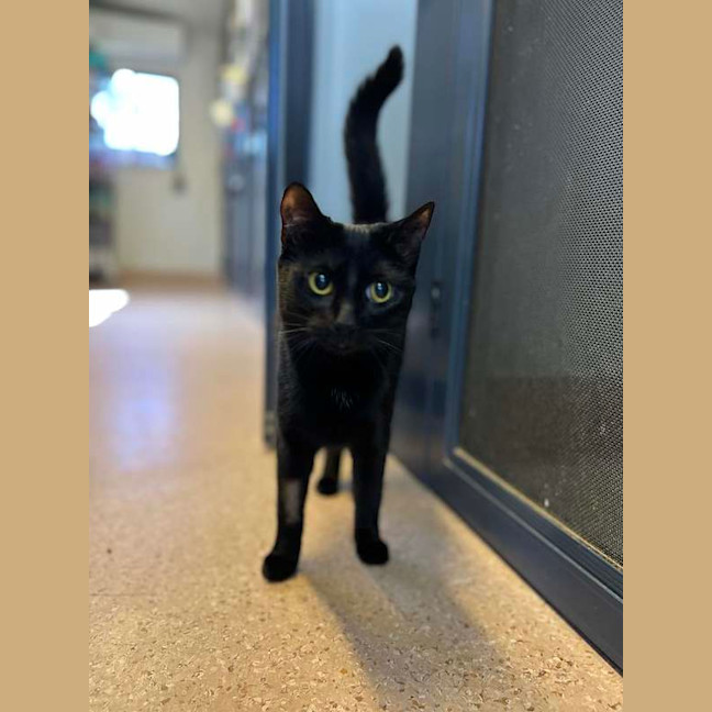 Photo of Cleo