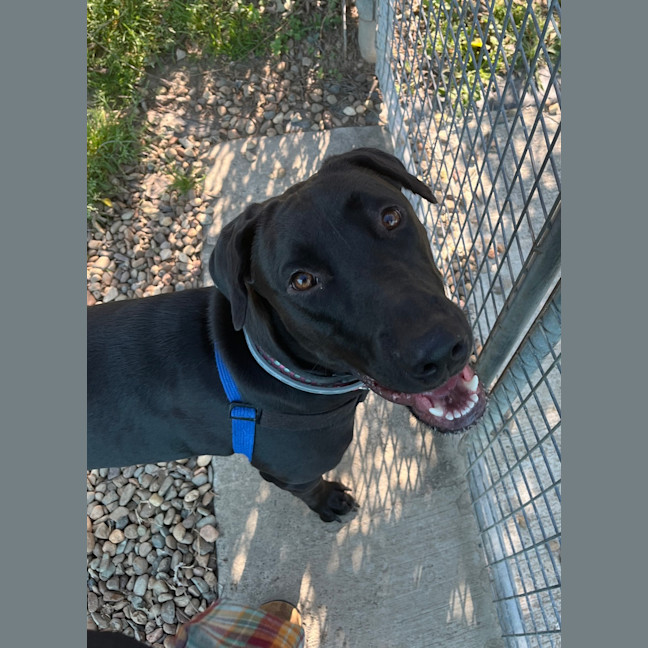 Photo of Athena