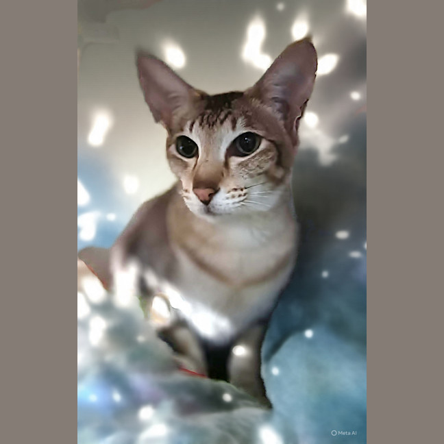 Photo of Elsie