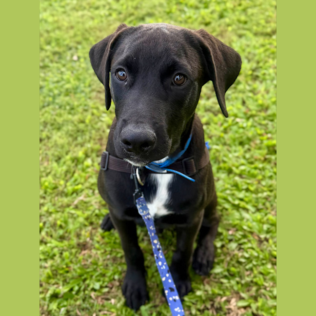 Photo of Charlie