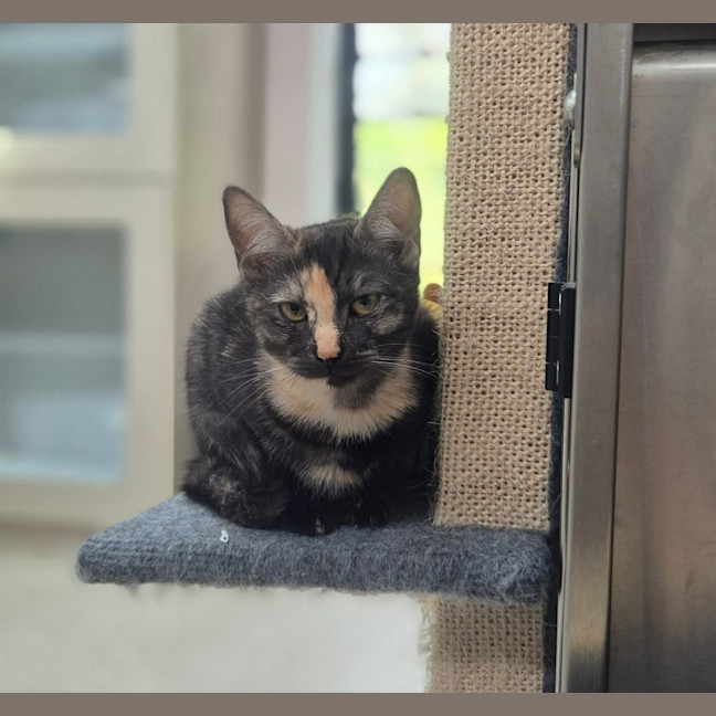 Photo of Miss Pink (0197)