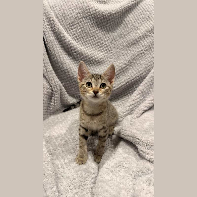 Photo of Kiki