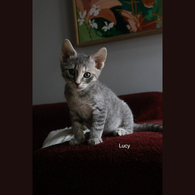 Photo of Lucy 