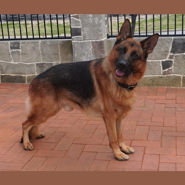 Photo of Zeus