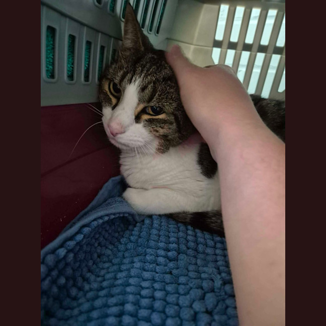 Photo of Mr Roy! 🎩