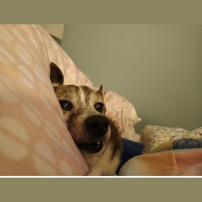 Photo of Sunny And Pj 