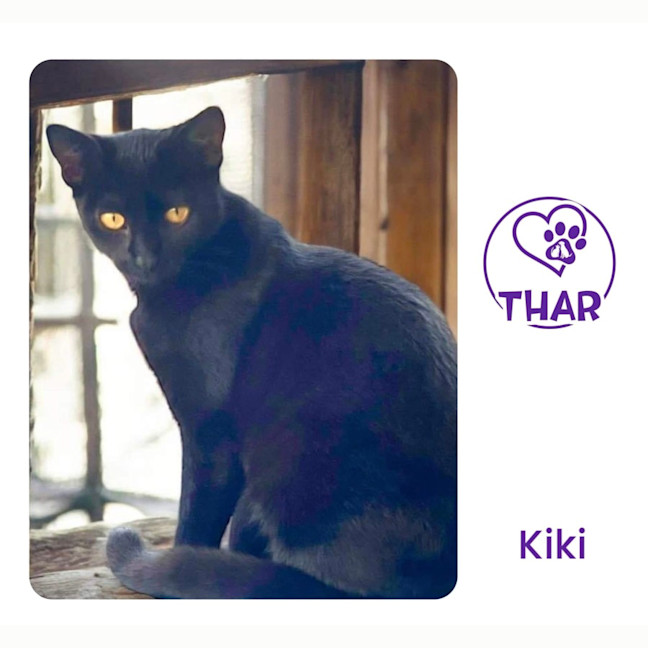 Photo of Kiki