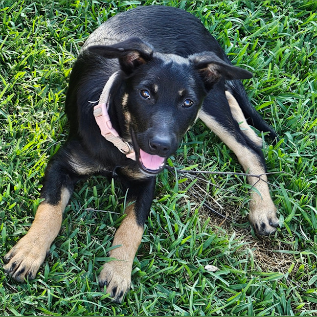 Photo of Angel