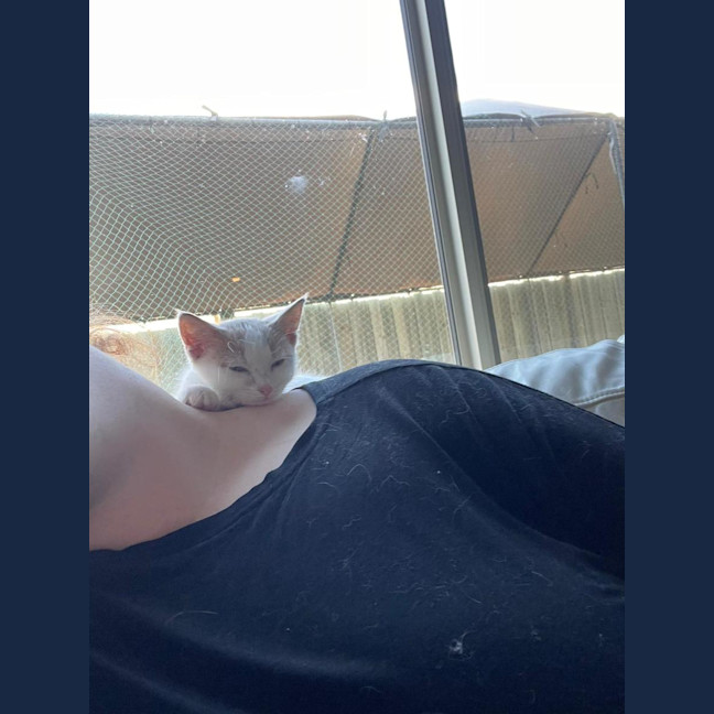 Photo of Gizmo