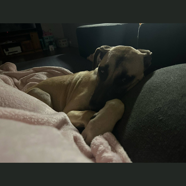 Photo of Marcel (Max)