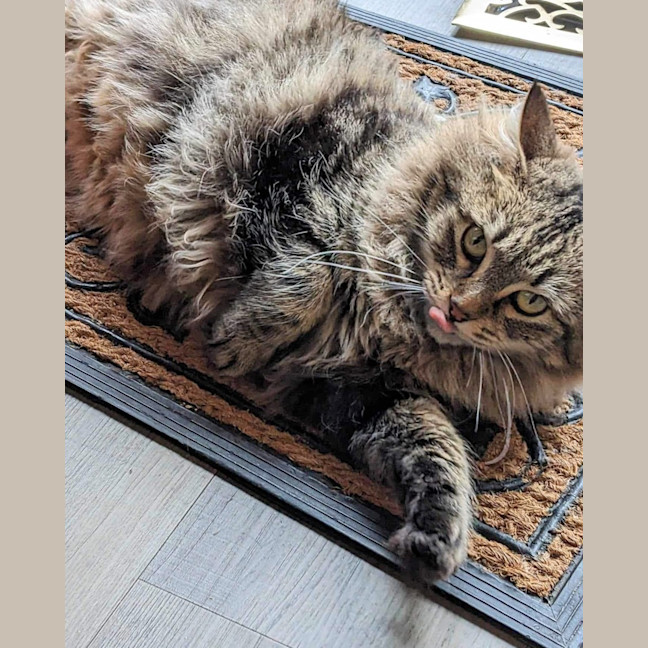 Photo of Felicity 🌹