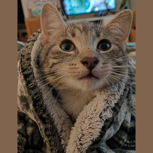 Photo of Ash