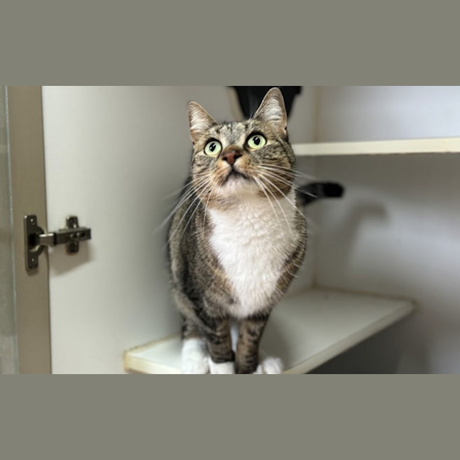 Photo of Lilly