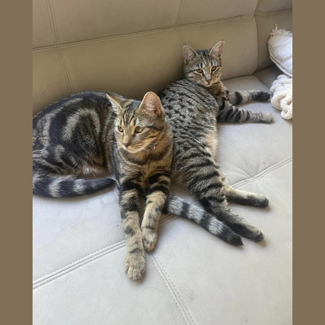 Photo of Tiga & Winnie 