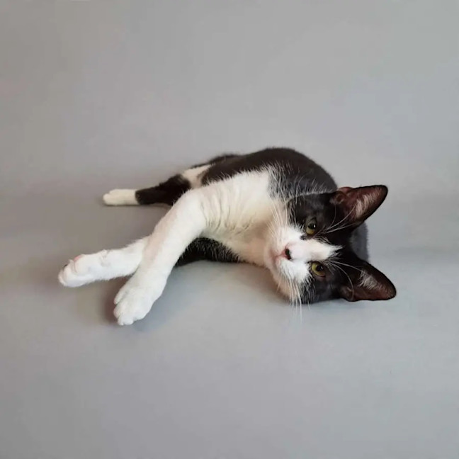 Photo of Kiki