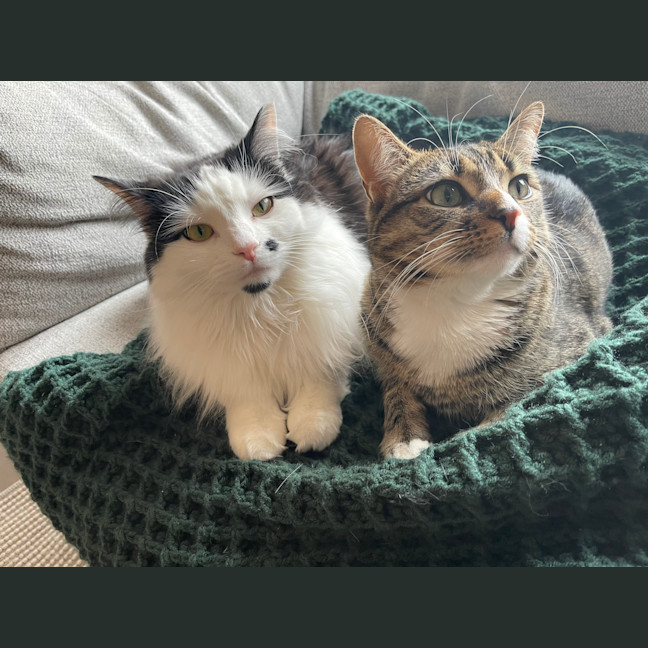 Photo of Alexa & Cindy