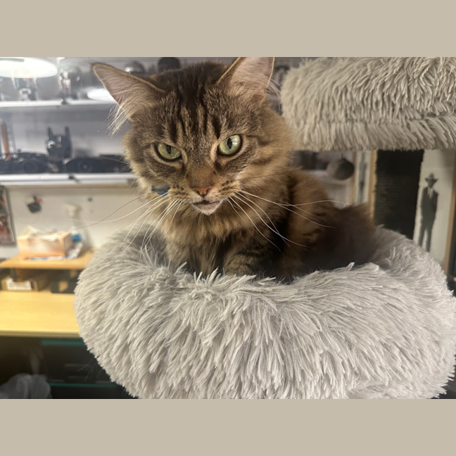 Photo of Meg