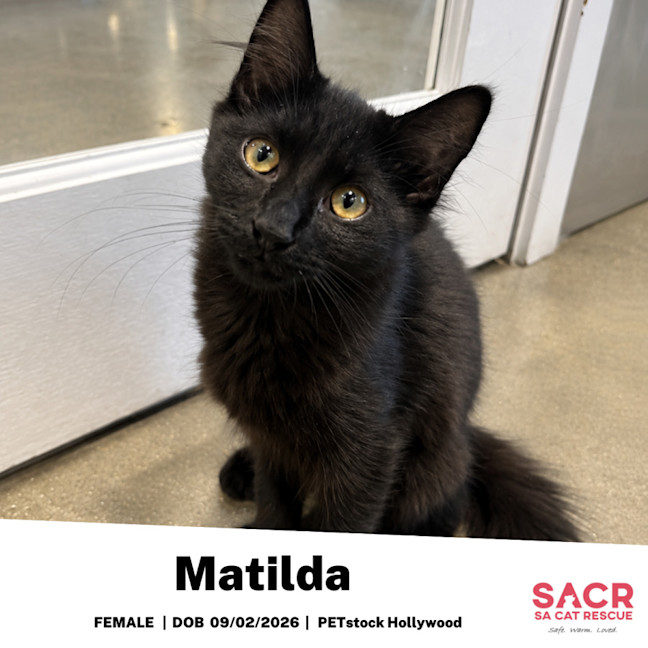 Photo of Matilda