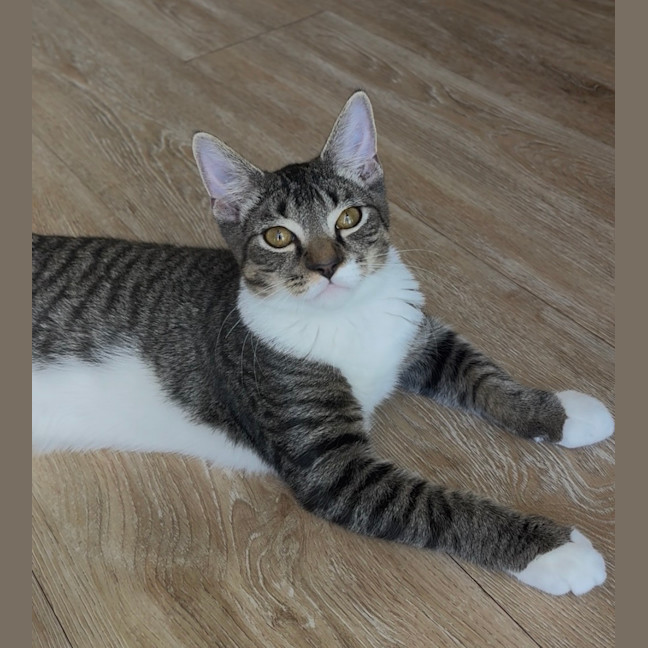 Photo of Freddie
