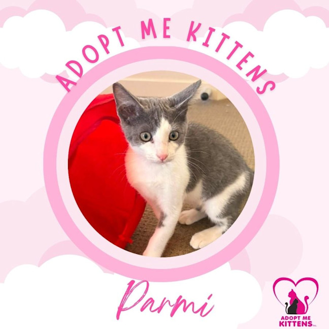 Photo of Parmi
