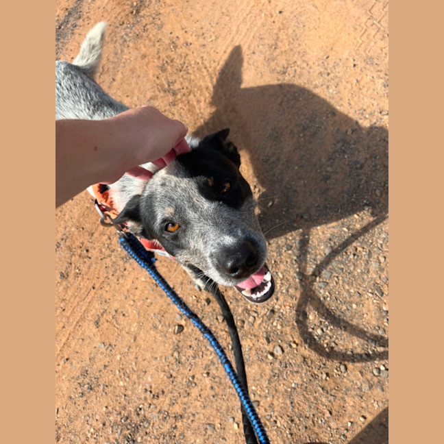 Photo of Bonnie
