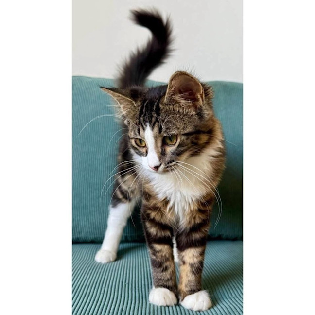 Photo of 12029   Joan